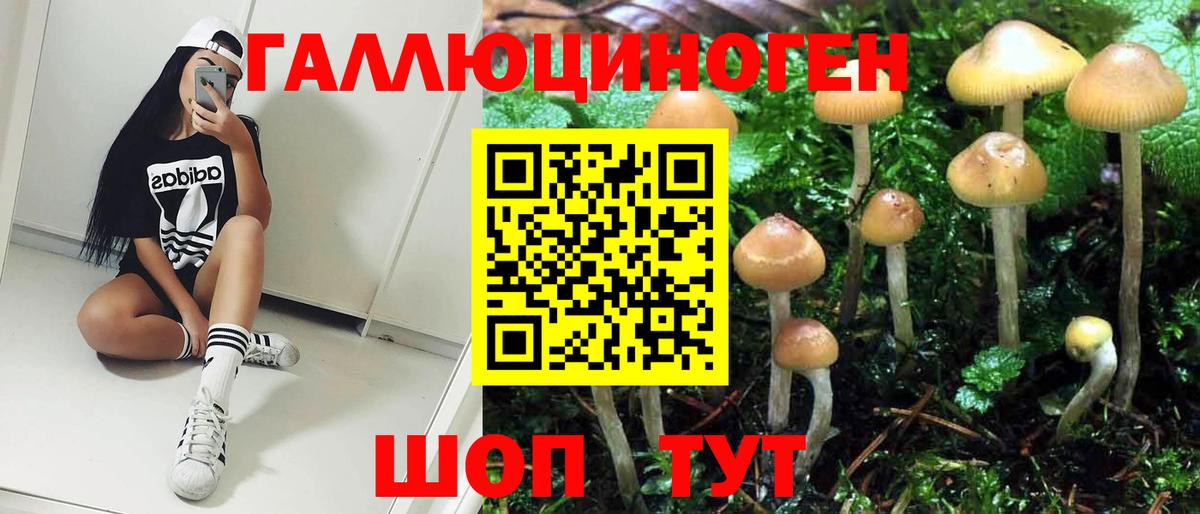 Псилоцибиновые грибы MAGIC MUSHROOMS  Псилоцибиновые грибы Magic Shrooms  Ипатово  Вход с VPN 