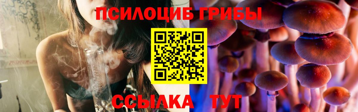 Галлюциногенные грибы MAGIC MUSHROOMS Ипатово